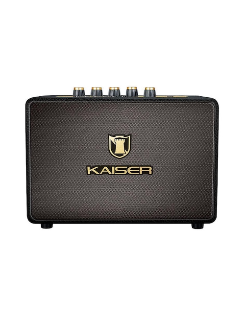 KAISER Bafle de piso Kaiser KAG-2002