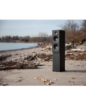 Baffle de Torre PSB Alpha T20 negro