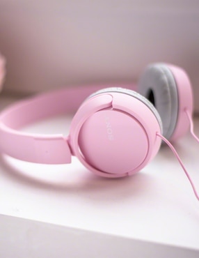 Audífonos On-Ear Sony Zx110 alámbricos