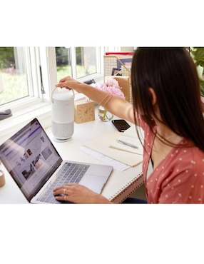 Bocina Bose Portable Smart Speaker