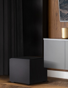 Subwoofer Definitive Technology DN10