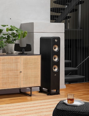 Bafle de piso Polk Audio ES60