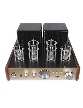 Amplificador para estéreo Soundlife AMPT1003G de 110 V - 240 V