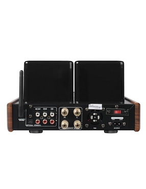 Amplificador para estéreo Soundlife AMPT1003G de 110 V - 240 V