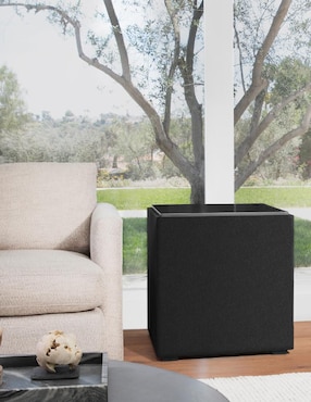 Subwoofer Definitive Technology DN15