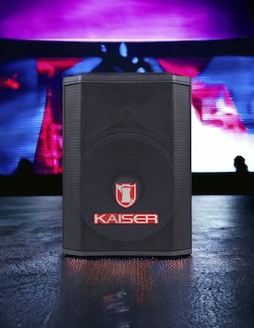 Bafle de piso Kaiser MSA-9709