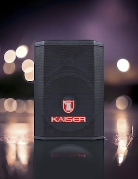 Bafle de piso Kaiser MSA-9709