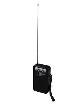 Radio reloj despertador Control Expert CE-AM2FM