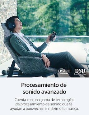 Reproductor portátil Sony NW-WM1AM2