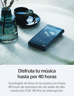 Reproductor portátil Sony NW-WM1AM2