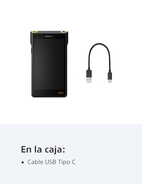 Reproductor portátil Sony NW-WM1AM2