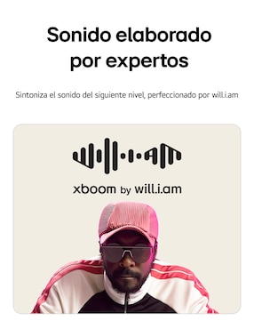 Bocina recargable Lg Xboom Stage 301 bluetooth