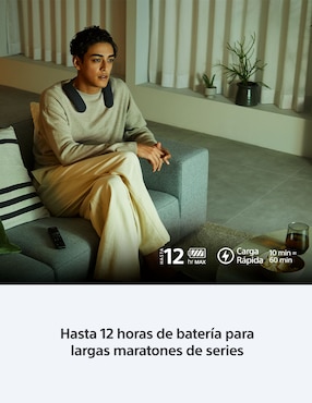 Bocina portátil Sony Bravia Theatre U bluetooth