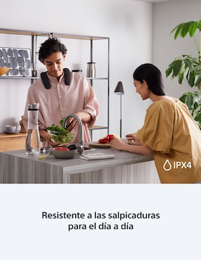 Bocina portátil Sony Bravia Theatre U bluetooth