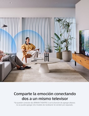 Bocina portátil Sony Bravia Theatre U bluetooth