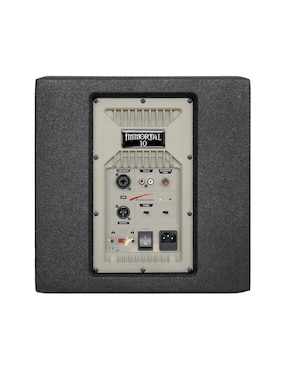 Bafle de piso Audiobahn Immortal10