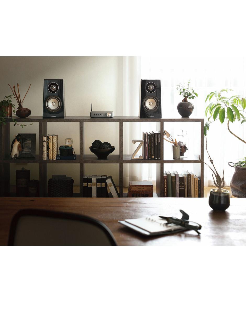 Amplificador WXA50DS de 127 V 4