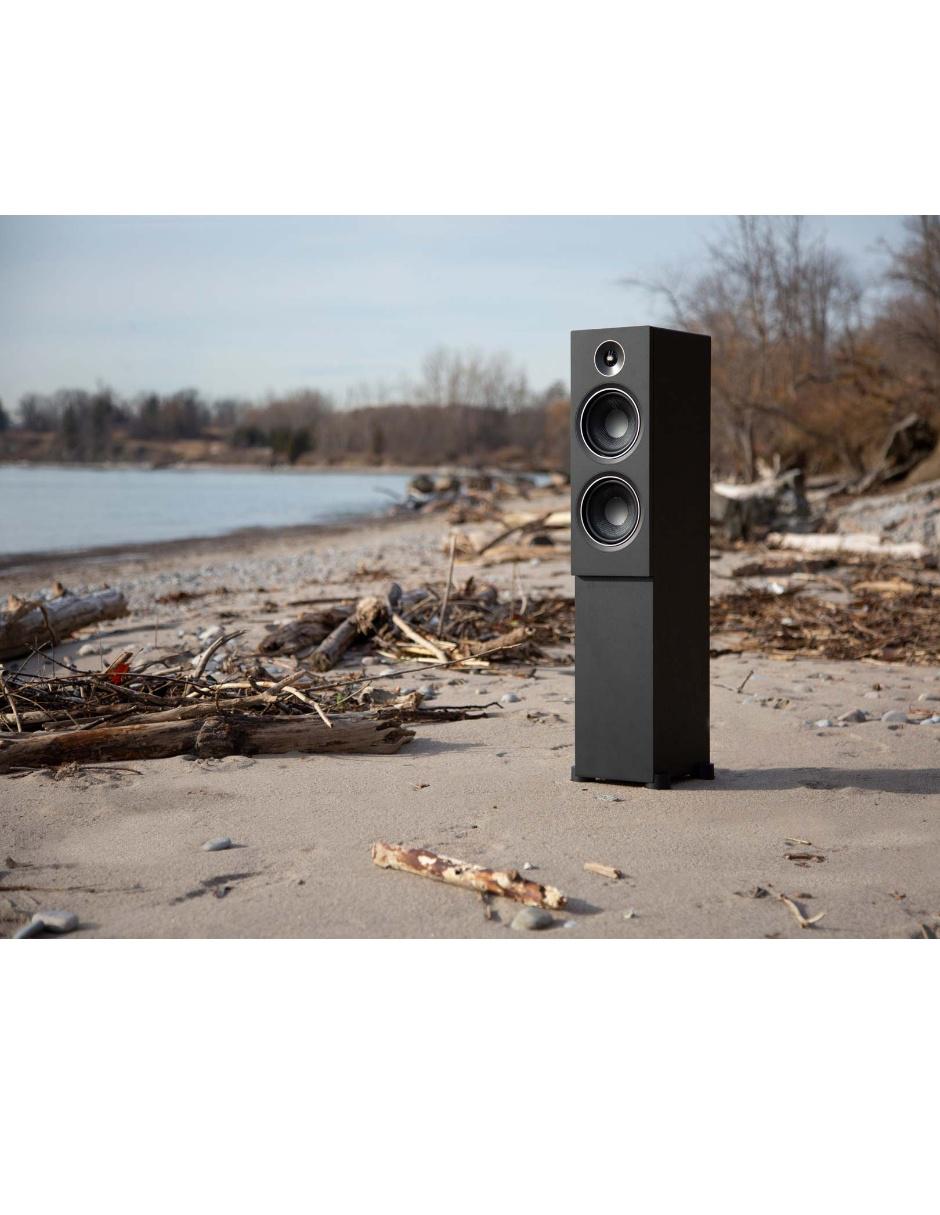 Baffle de Torre Alpha T20 negro 4