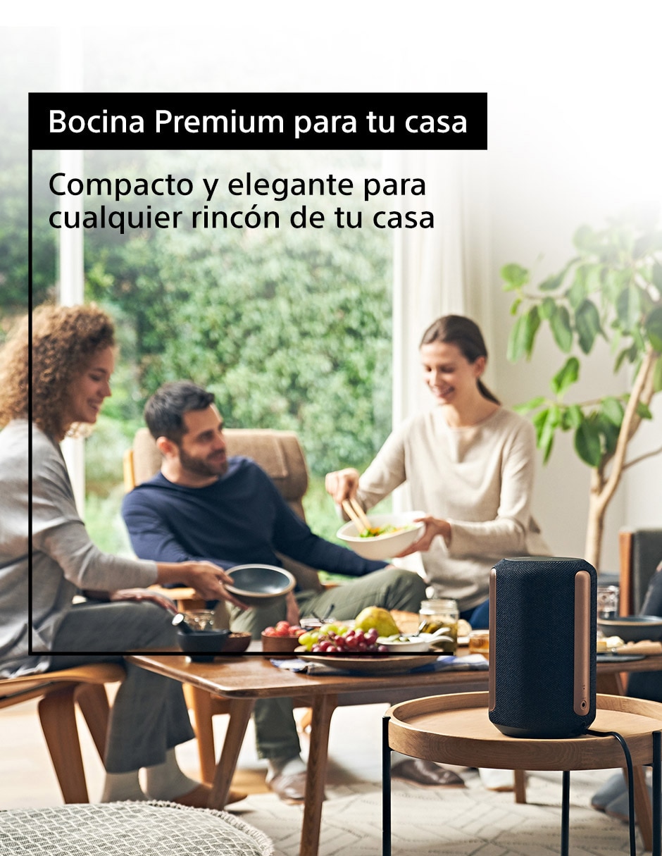 Bocina Portátil SRS-RA3000 5
