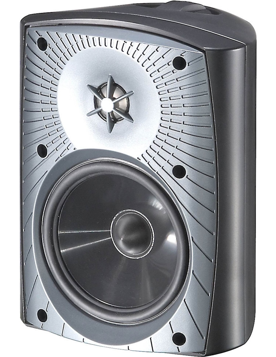 Bafle Exterior Martin Logan ML-55AW 4