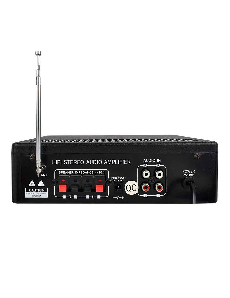 Amplificador MOD01 de 110 V 5