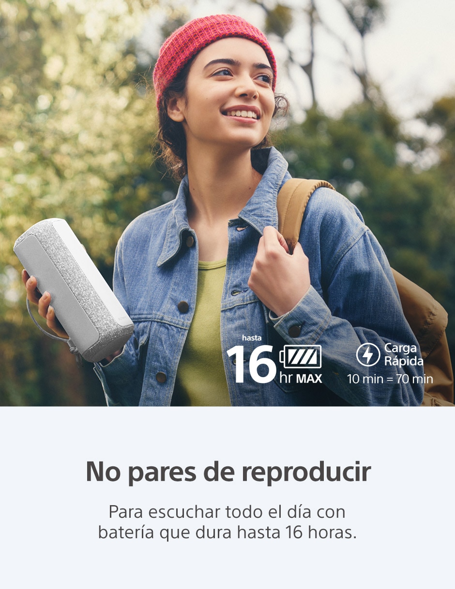 SONY SRS-XE200 BLUETOOTH, GRIS