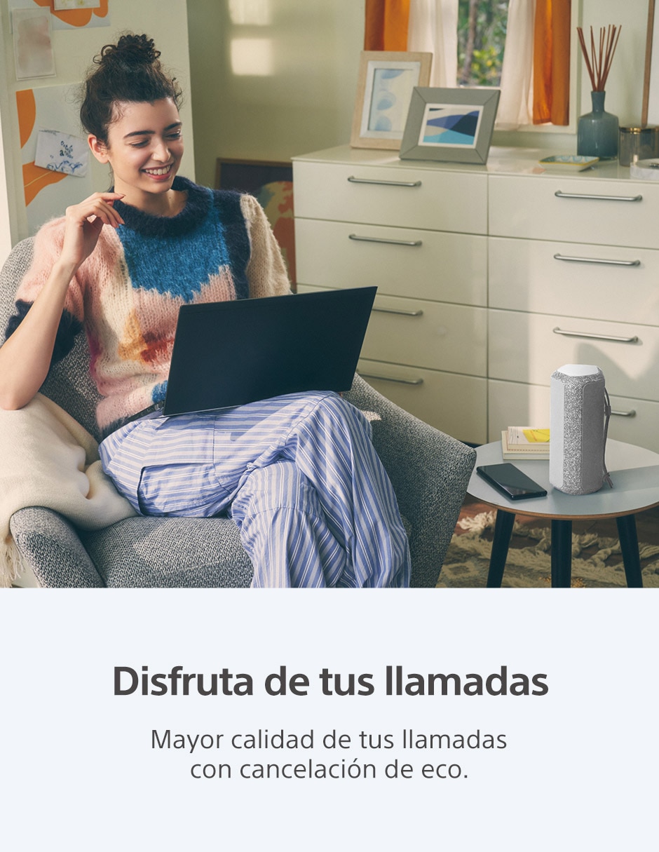 SONY SRS-XE200 BLUETOOTH, GRIS