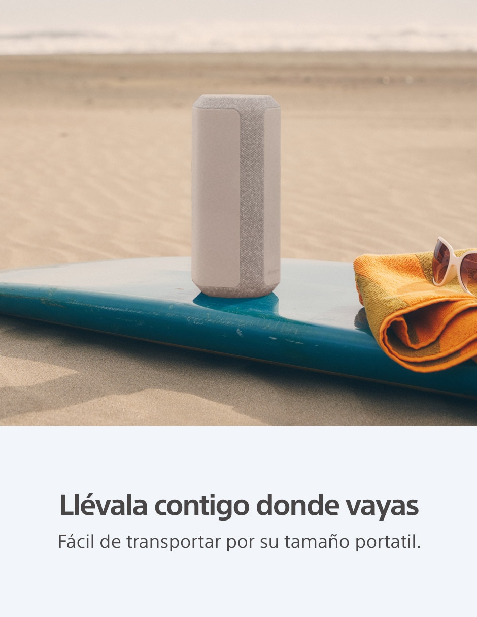 SONY SRS-XE300 BLUETOOTH, GRIS