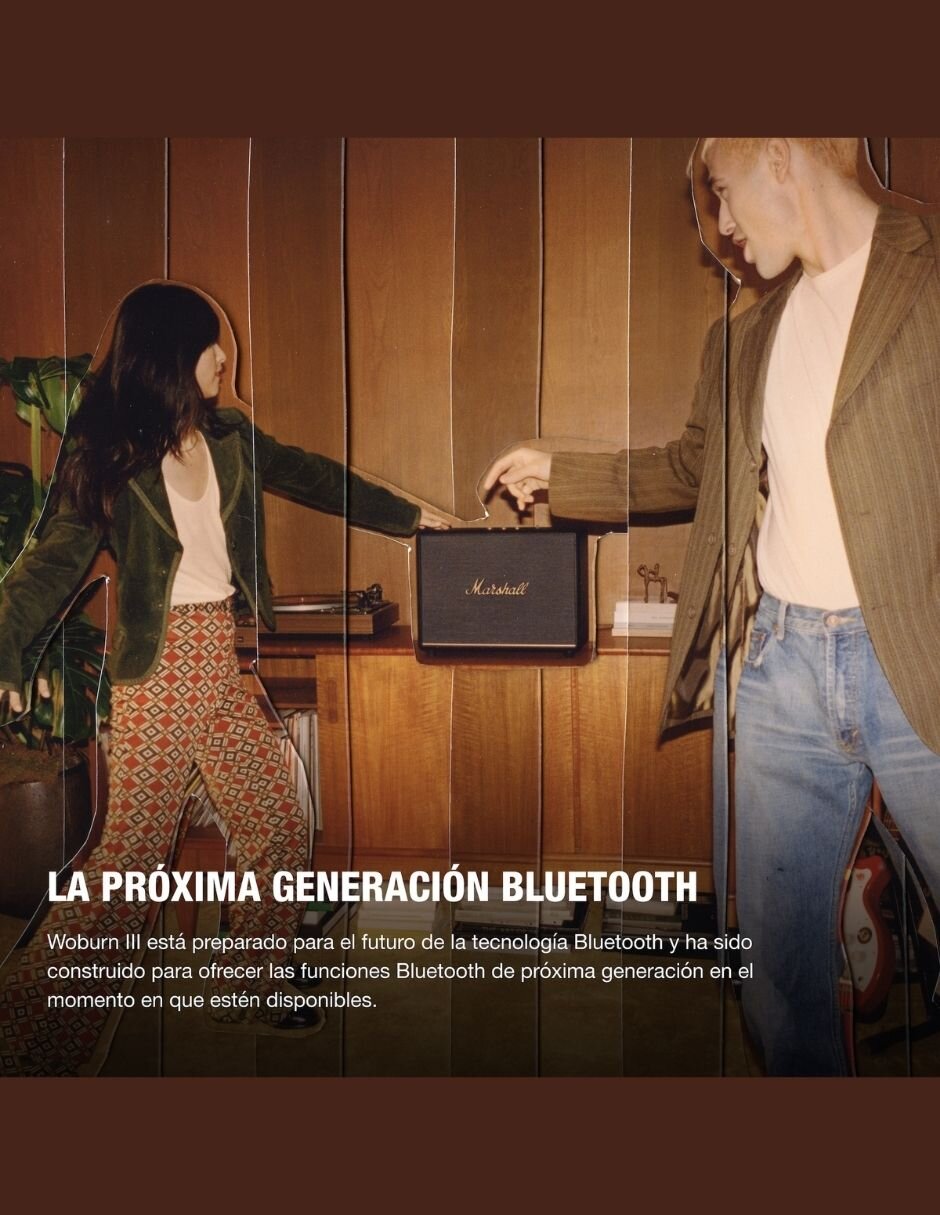 Bocina Woburn III alámbrica 8