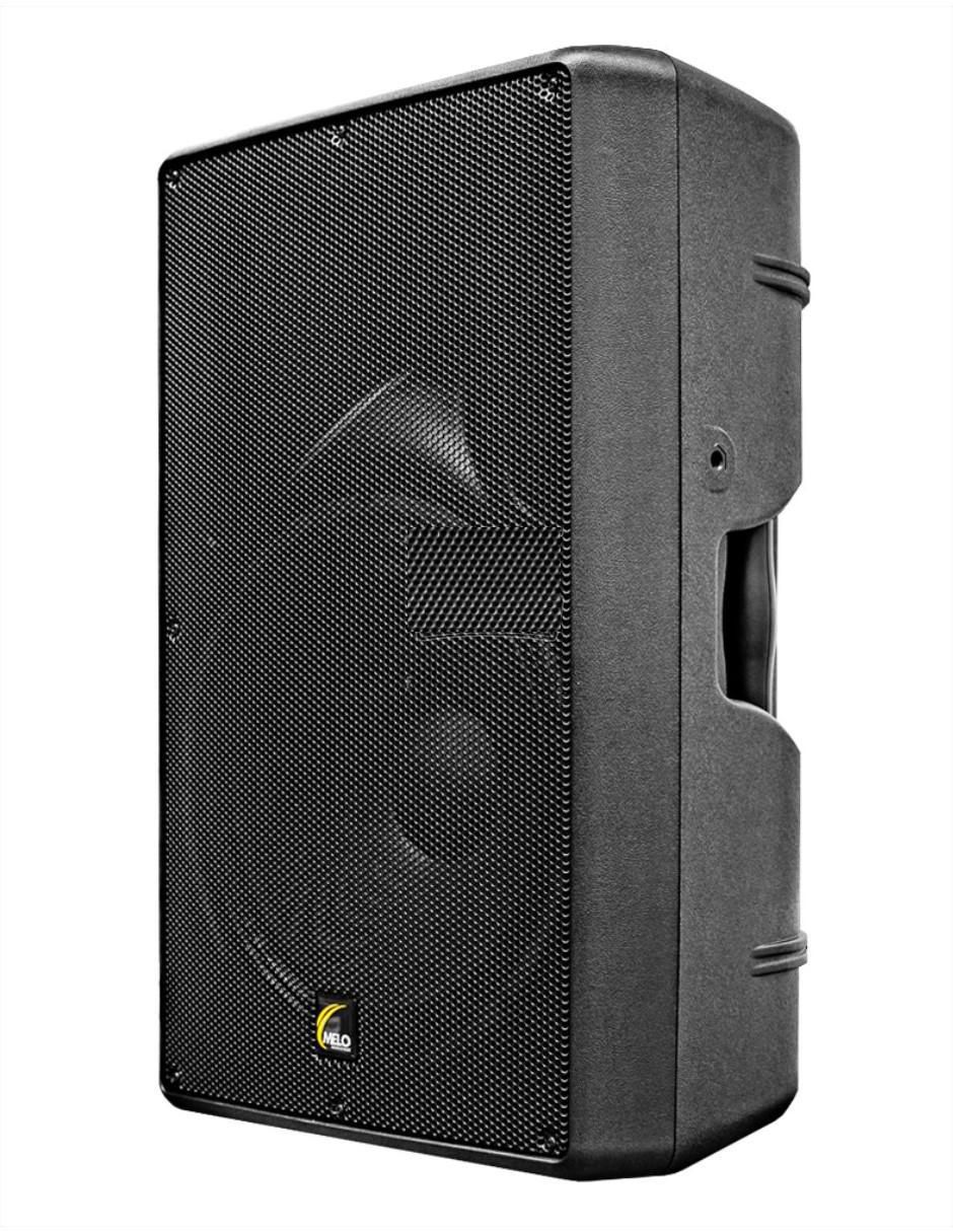 Bafle de piso DSP1535 3