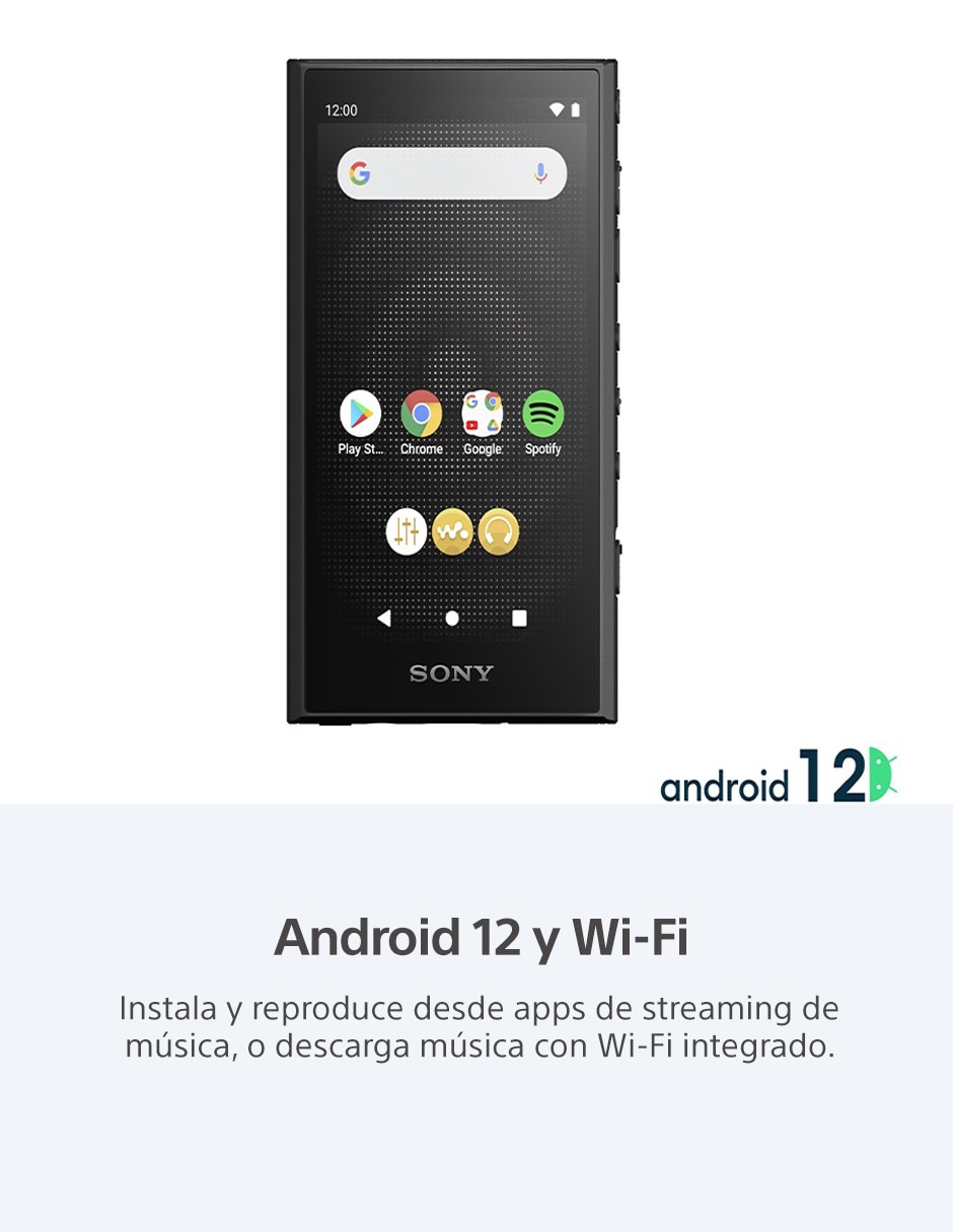 Reproductor portátil NW-A306 5