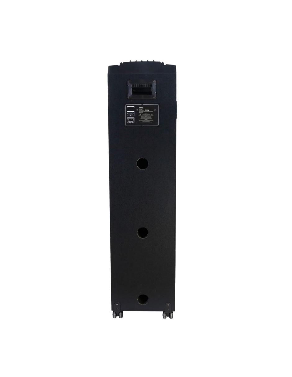 Bafle de piso DW-2022 5