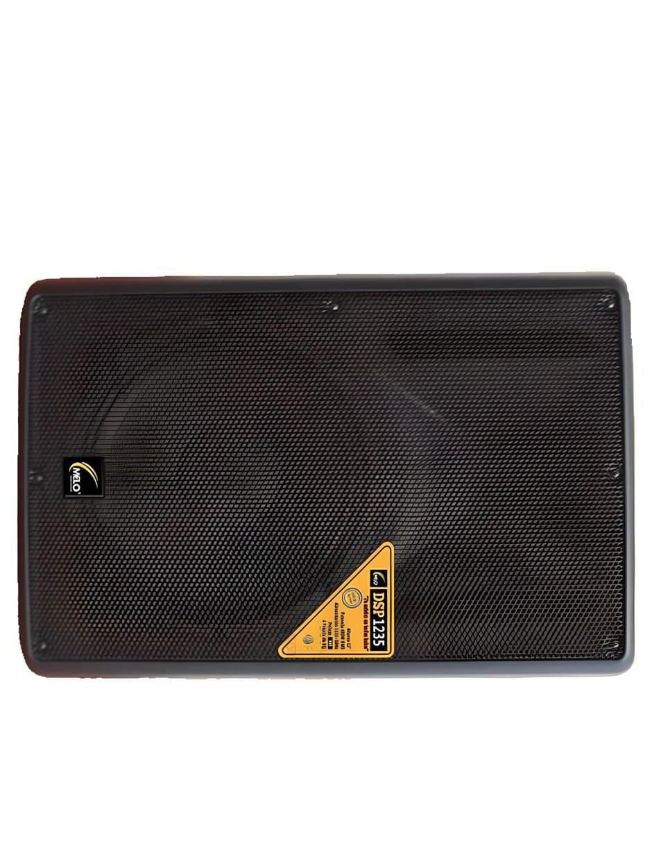 Bafle de piso DSP1235 2