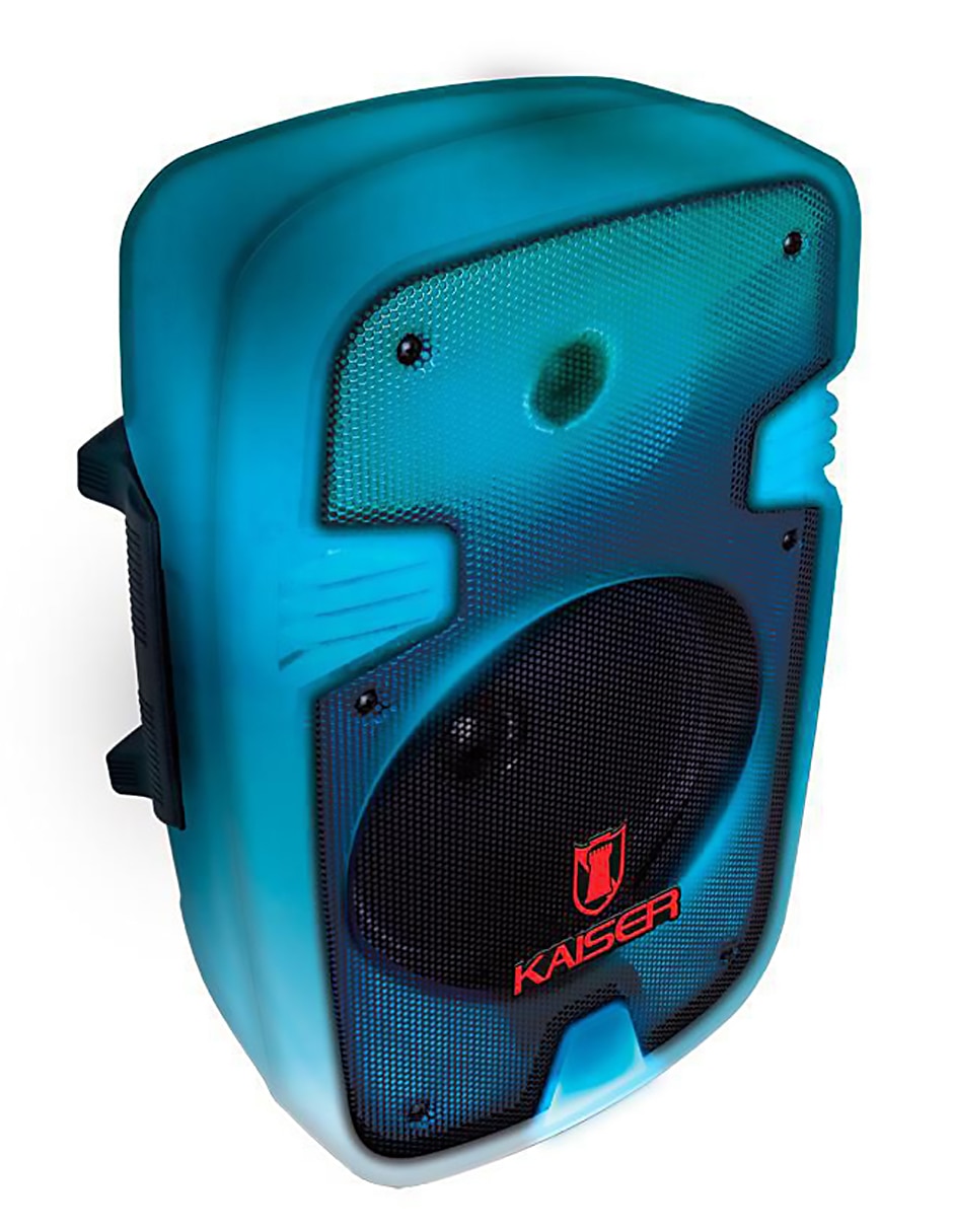Bafle de piso KSW-1008-2