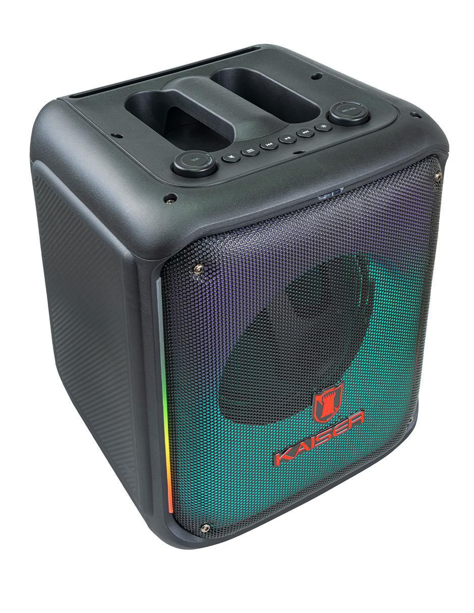 Bafle de piso KSW-3008 4
