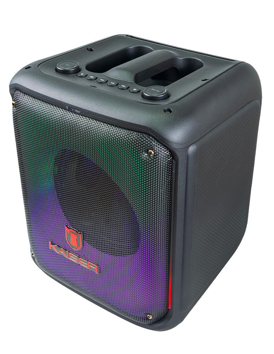 Bafle de piso KSW-3008 5