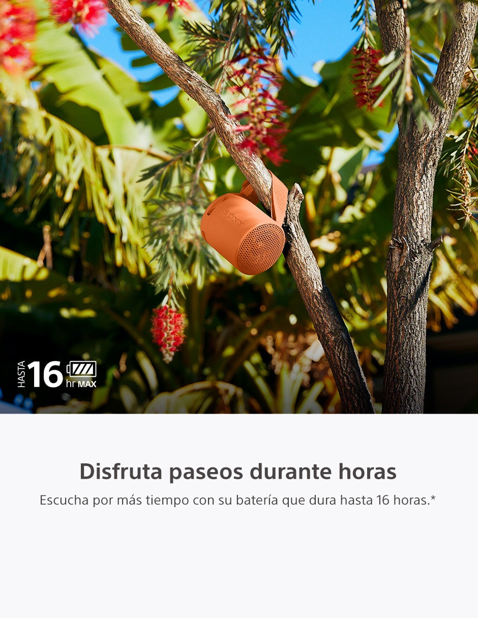 SONY SRS-XB100/B, NARANJA
