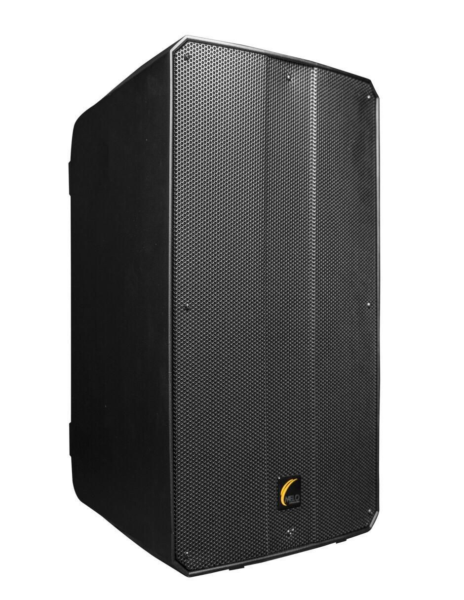 Bafle de piso DSP1260D 2