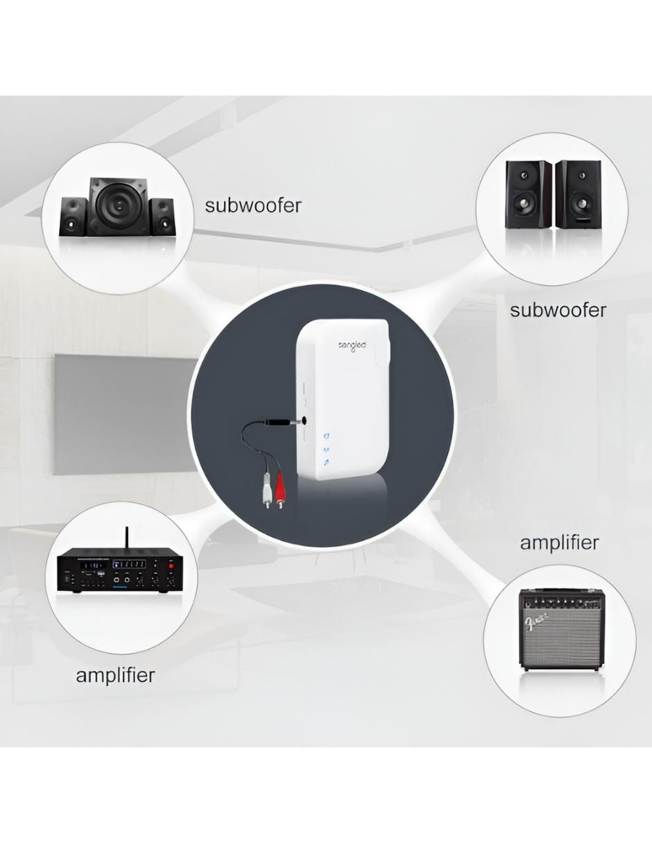 Amplificador C01-BR30NAAMPW de 100 V - 240 V 3