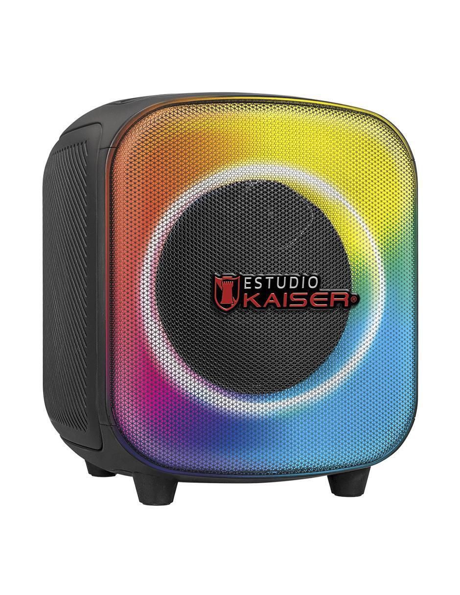 Bafle de piso KXB-3065 5