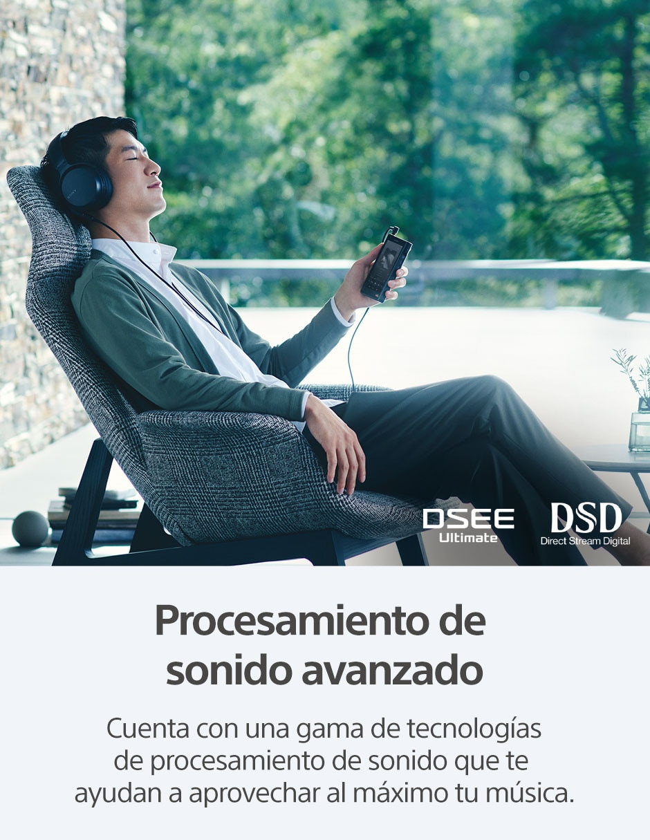 Reproductor portátil NW-WM1AM2 2