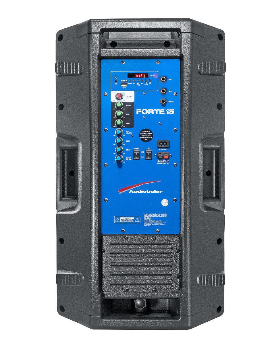 Bafle exterior Forte15 5