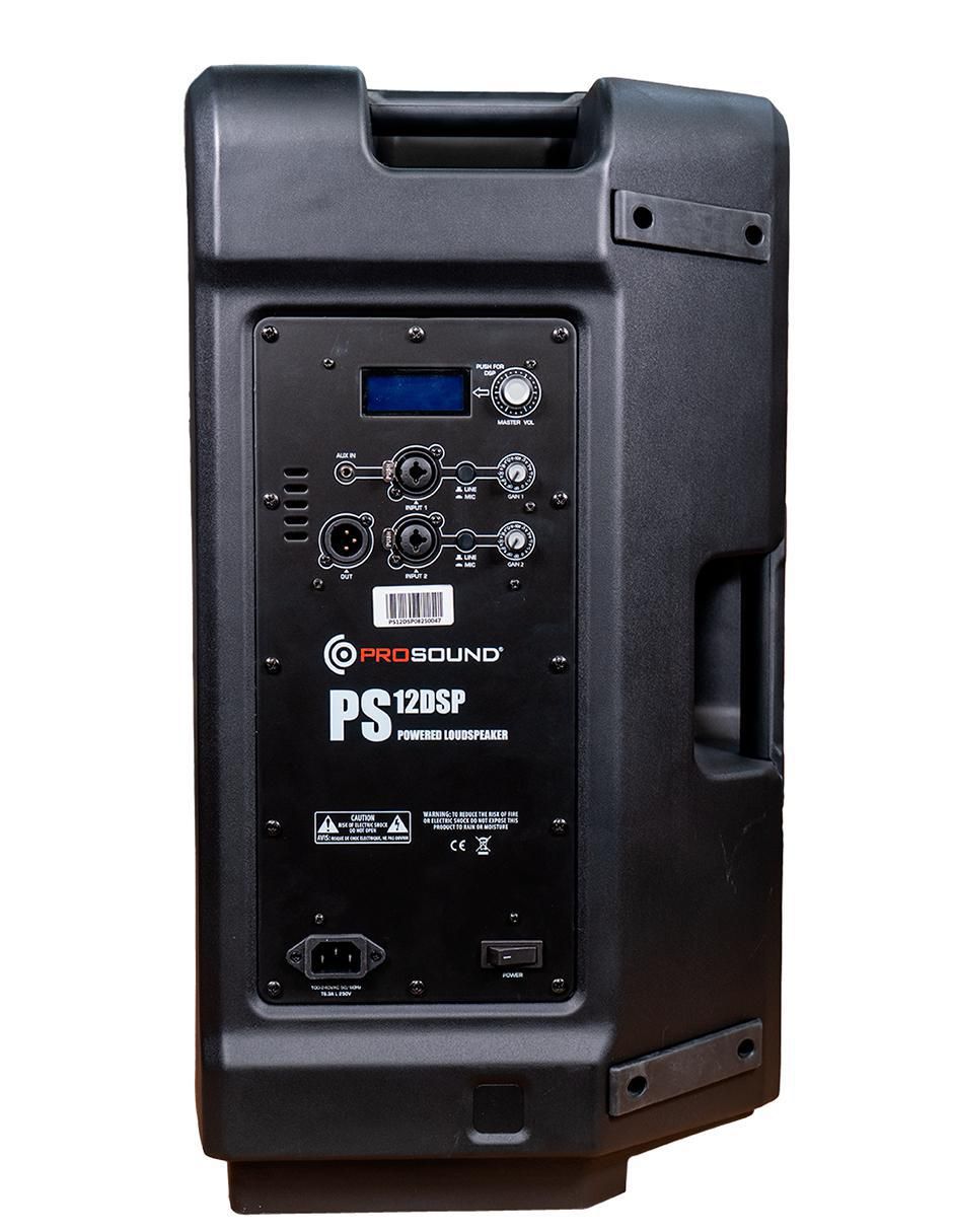 Bafle de piso ps-12dsp 3
