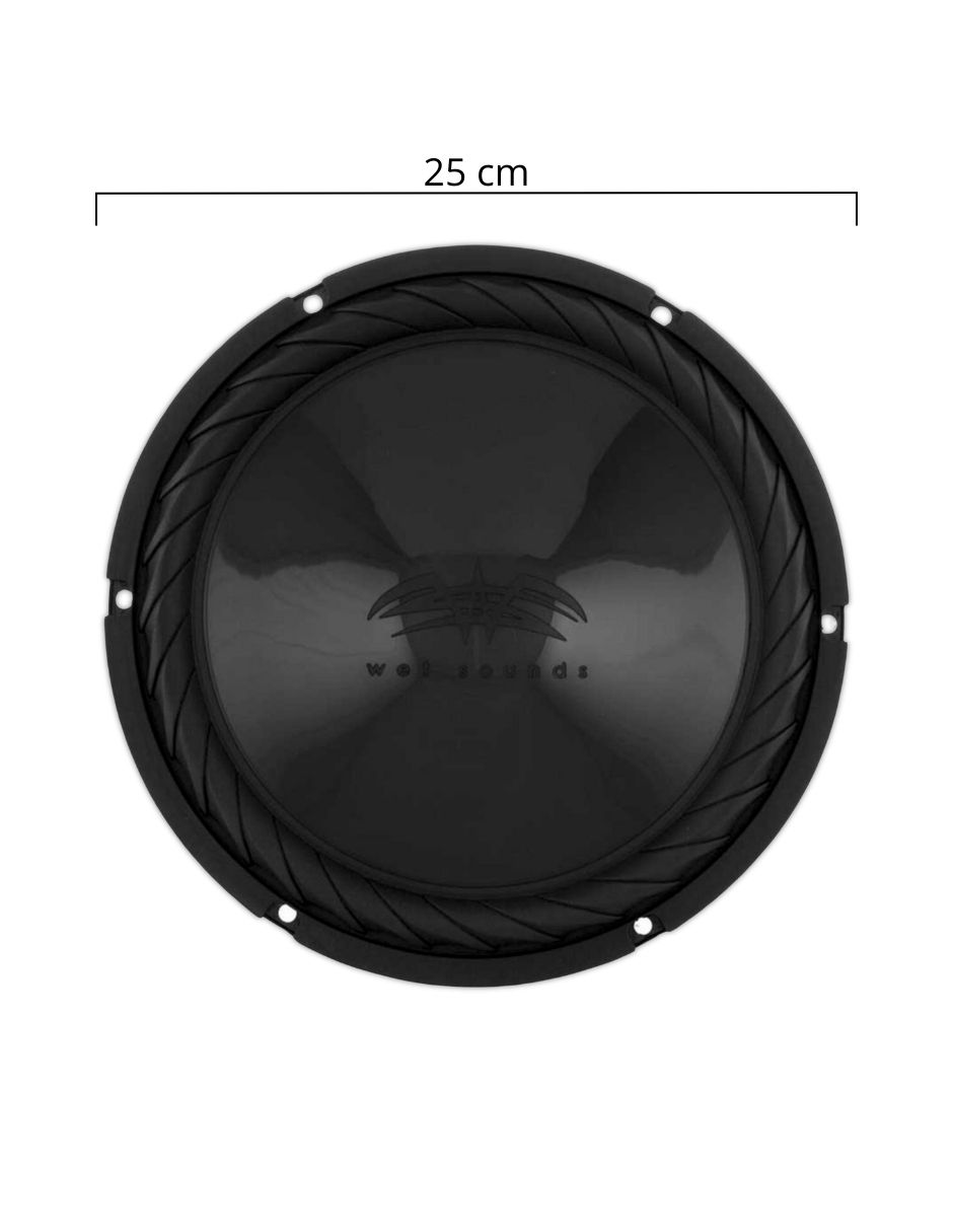 Subwoofer ss-10bs4 6