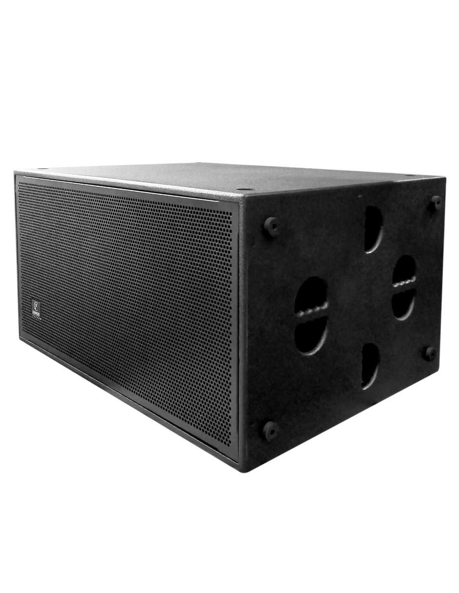 Subwoofer Combo Club-65 5