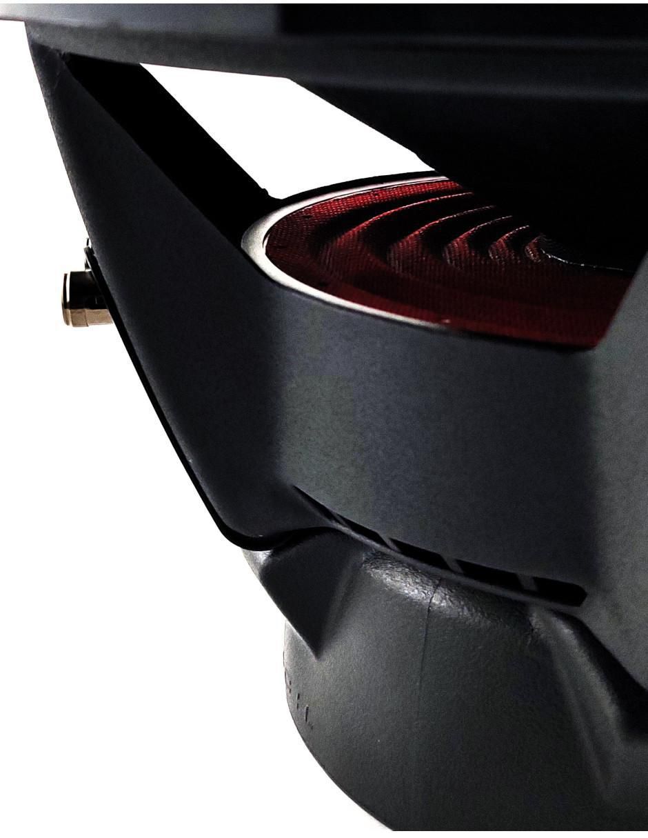 Subwoofer P2D4-12 10